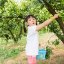 가뫼골마을 이미지