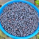 송재농장 이미지