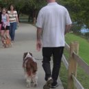 서초중앙로8길 89-2 이미지