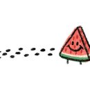 에이스승마랜드 이미지