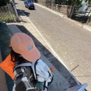 서운간이실내체육관 | 🇪🇨Day36,37 바다사자를 보고 스노클링을 가고 선셋을 봐:: 산 크리스토발 숙소 추천 Casa d'Lucas, 카페...