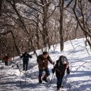 천인목장 이미지