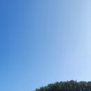 진성(경남)