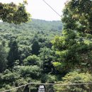 진도 카멜리아 힐즈 오토캠핑장 이미지