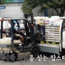 라이프룻헬리오시티