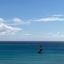 파라다이스 코브 이미지