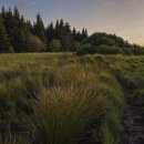 연제고등학교 이미지