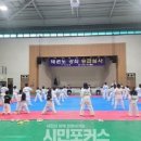 신안태권도체육관 이미지