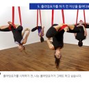 라인홀릭플라잉요가