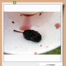 옹달샘꽃누름마을 이미지