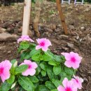 이룸민박 이미지