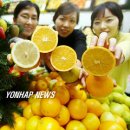 레몬과 오렌지 이미지