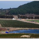 그린루체 이미지