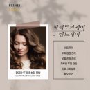 렌느제이 - 고양시 일산동구 중앙로 1192 | 렌느제이