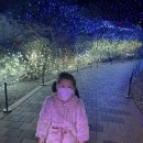 코디웜플 이미지