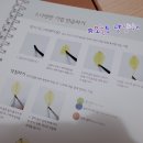 아름다운 꽃 그림 보타니컬아트 이미지