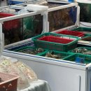 모이세PC 이미지