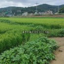 정곡면사무소 이미지