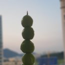 소담 이미지