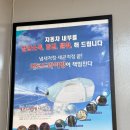 리얼스팀 | [내돈내산] 분당 판교 스팀세차 추천! BMW X6 60i &amp; 320d 믿고 맡긴 찐단골 파워스팀세차 리얼후기