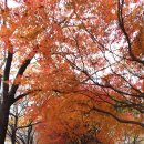 제1금천교 이미지