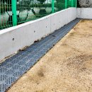 월곶초등학교 이미지