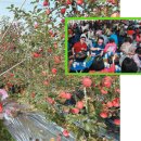 장수한우 이미지