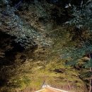 상림약수터 이미지