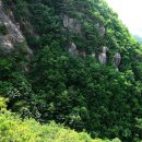 단대117 Daum카페