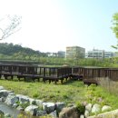 도시의 아침 네이버블로그