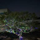 (주)성현산업 이미지