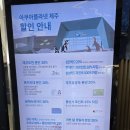 로그인제주 | 🐠 제주 실내 데이트 추천! 아쿠아플라넷 제주 방문 후기