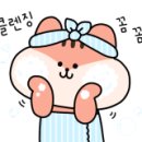 No1 카서비스 이미지