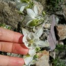 바다를 닮은집 이미지