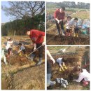 희영농장 이미지