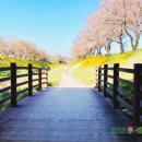 디저트39(충남당진점) 이미지