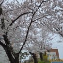 고성간성시장 근처카페, 카페달록(반려견과 함께 방문)
