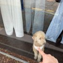 더블유라운지호텔 이미지