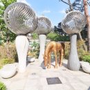 해랑숲공인중개사사무소 이미지