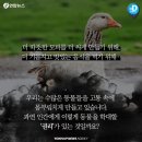 여우뜰