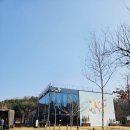 카페에서 독서하기_ 숲카페에서