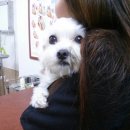 삼척동물병원 이미지