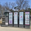 화성종합정비 | 경기도 화성 <융릉과 건릉> 산책 후기입니다~가족 나들이로 딱 좋은 힐링 코스!