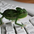 모아컴퓨터 이미지