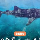 알레그리아 | 필리핀 세부 4박 6일 여행준비 A to Z (1) 항공권, 숙소, 패키지