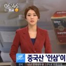금산인삼 티스토리