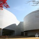 연곡달인 동해막국수 이미지