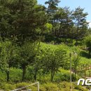 내면고원체육공원 이미지