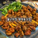 평택동삭동맛집, 단골 많은 불난막창 동삭점,완벽했던 한 끼