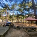 달둔소낭펜션 이미지